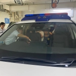 ONE students exploring a police car as part of their police learning journey event at ONE